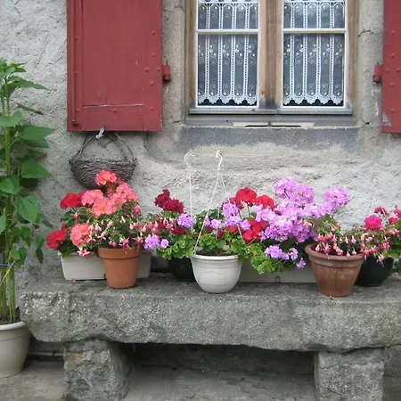 Bed & Breakfast Le Relais De La Diligence Allègre