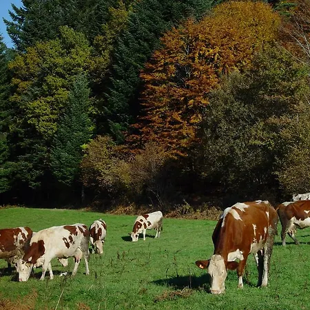 Le Relais De La Diligence Allègre